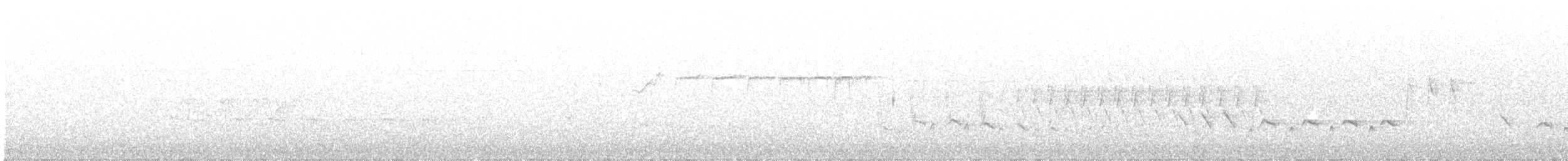 rubinfuglekonge - ML342721261