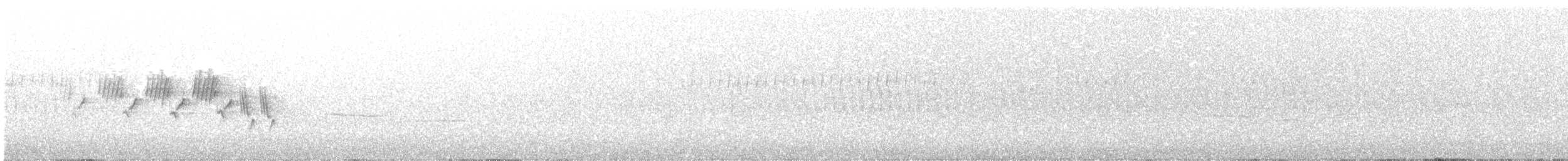 kjerrparula - ML342723691