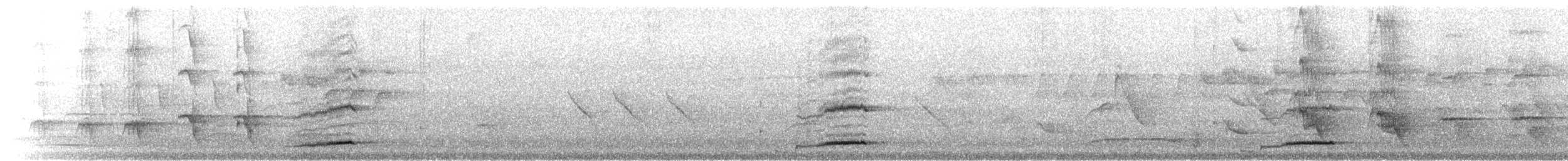 straka toulavá - ML342726911