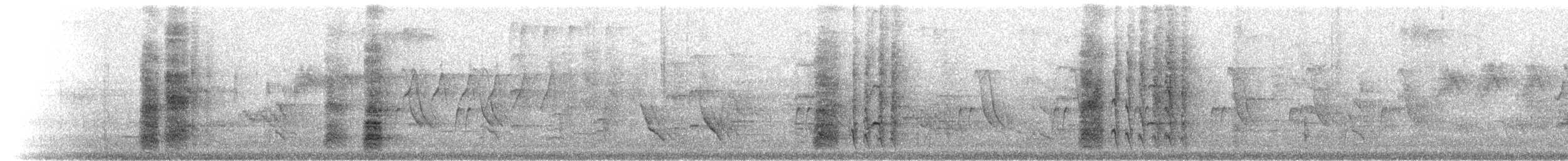 Jungle Babbler - ML342726931