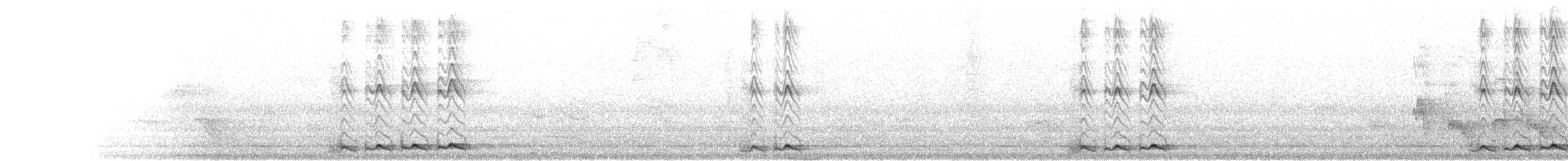 kukačka koel - ML342735911