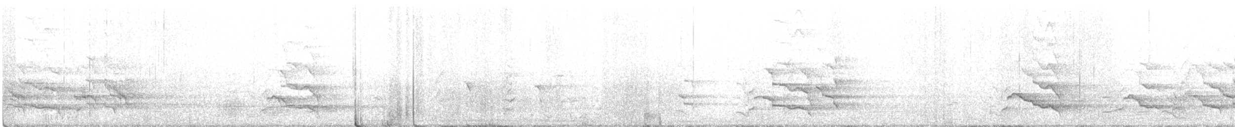 kakadu bělouchý - ML342757281