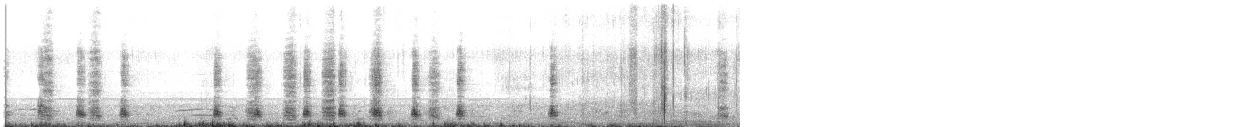 Egyptian Goose - ML342761251