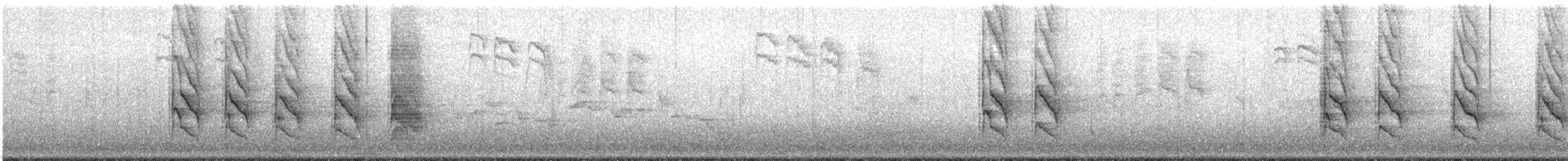 Parrocchetto dal collare - ML342791081