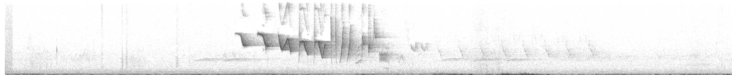 strømparula - ML342808901