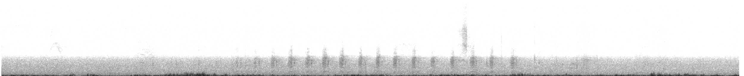 Gygis blanche - ML342809721