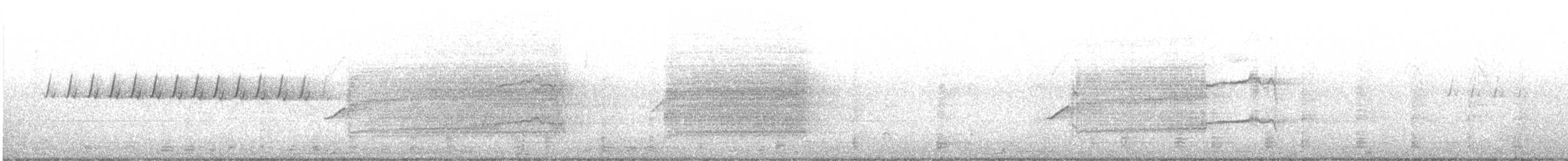 White-tailed Kite - ML342834161