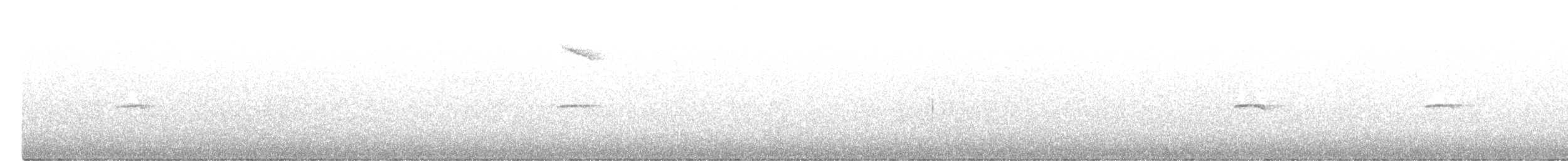Common Chiffchaff (Siberian) - ML342836441