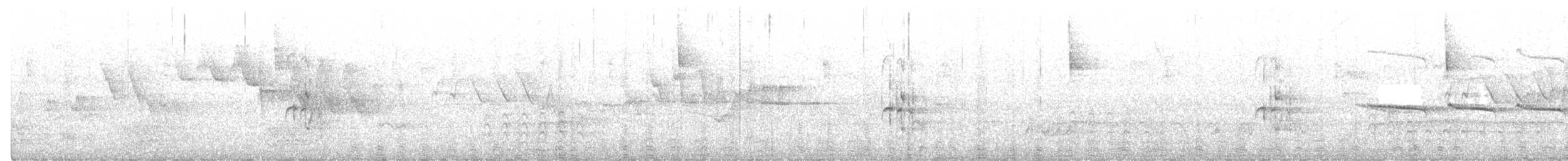 Kuzeyli Bıyıksız Tiranulet - ML342836521