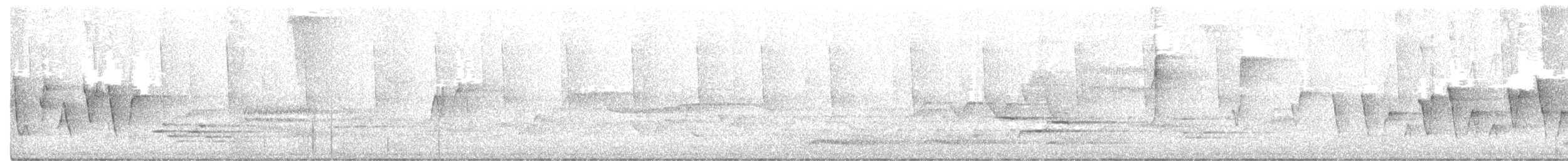 Paruline à gorge grise - ML342843521