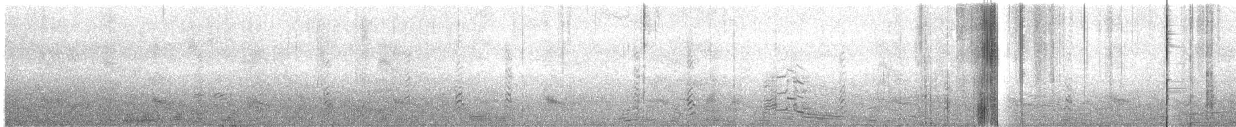 Black Skimmer - ML342905991