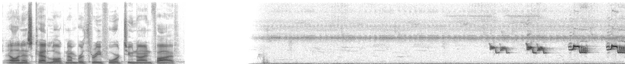 Schwarzschnabeldrossel (debilis) - ML34295
