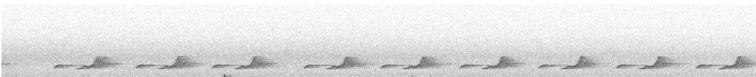 Schwarzkehl-Nachtschwalbe - ML342974221