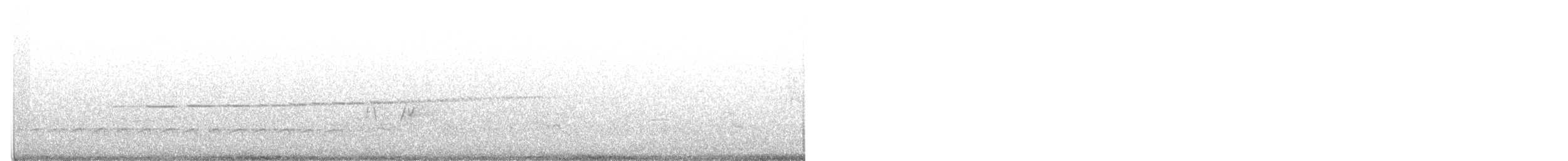 Sperlingsvogel, unbestimmt - ML343013431