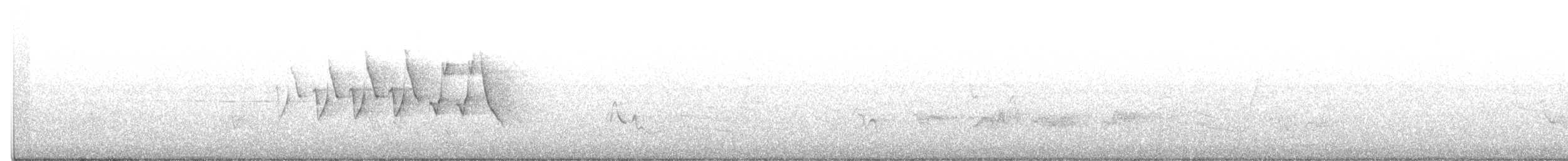 Chestnut-sided Warbler - ML343013711