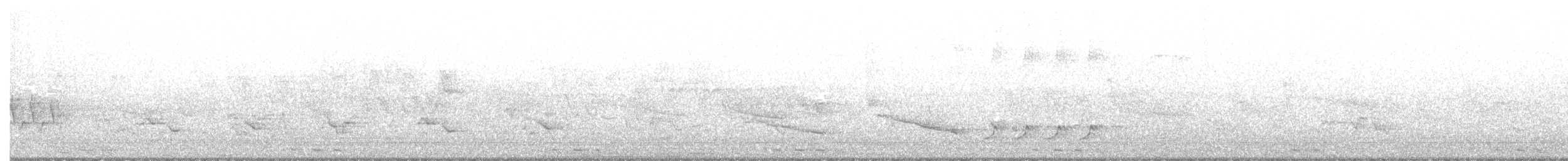 Black-billed Cuckoo - ML343018931