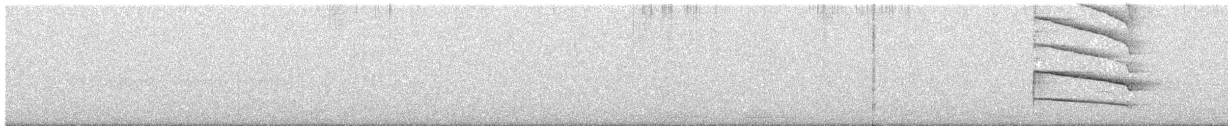 White-browed Woodpecker - ML343039901