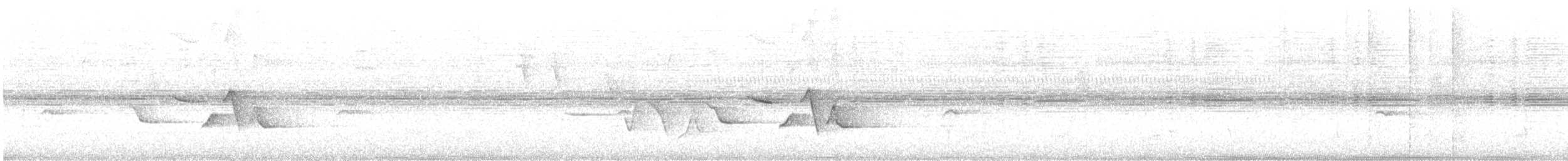 Troglodyte des halliers - ML343059561