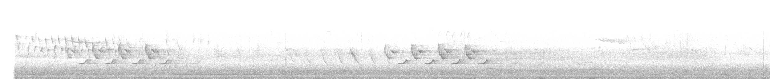 Troglodyte de Caroline - ML343082671