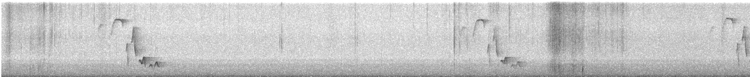 Bar-winged Wood-Wren - ML343118181