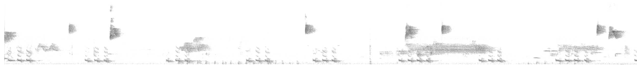 Black-billed Cuckoo - ML343226821
