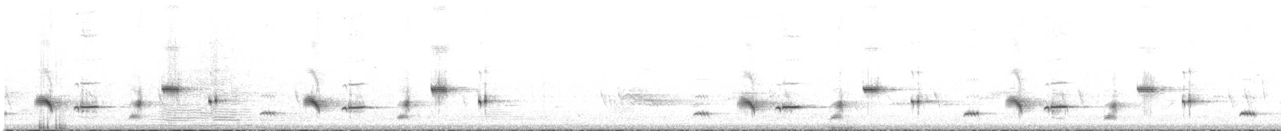Psophode à menton noir - ML343233451