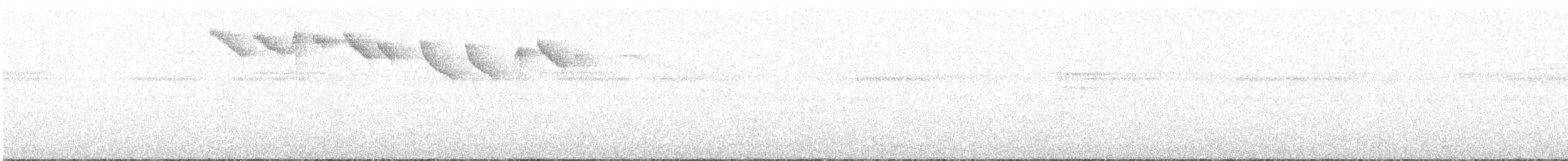 Полосатохвостый колибри-отшельник - ML343258791