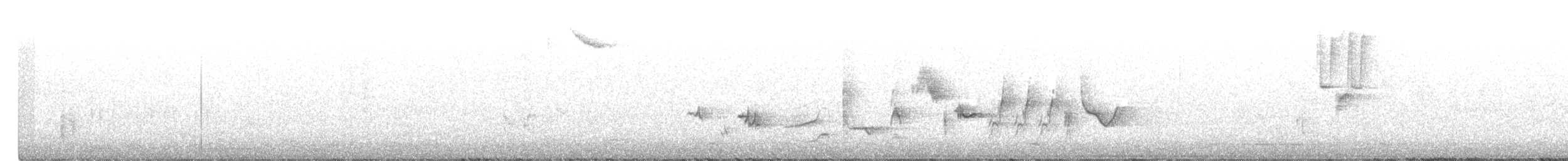 Oriole des vergers - ML343319871