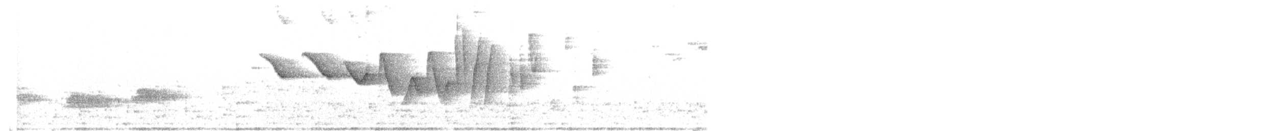 Трясогузковый певун - ML343342371
