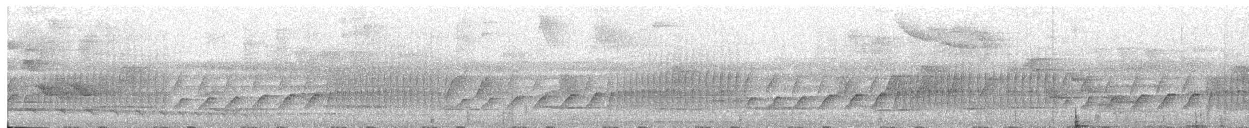 Black-tailed Leaftosser - ML343354821