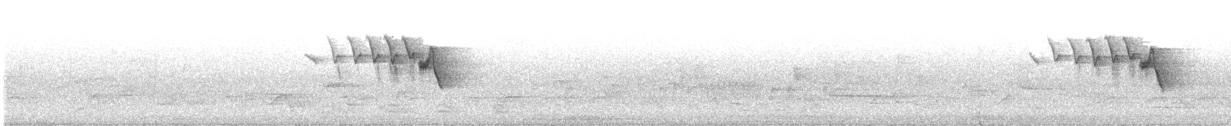 ハゴロモムシクイ - ML343356001