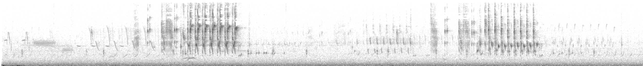 Marsh Wren (palustris Group) - ML343460131