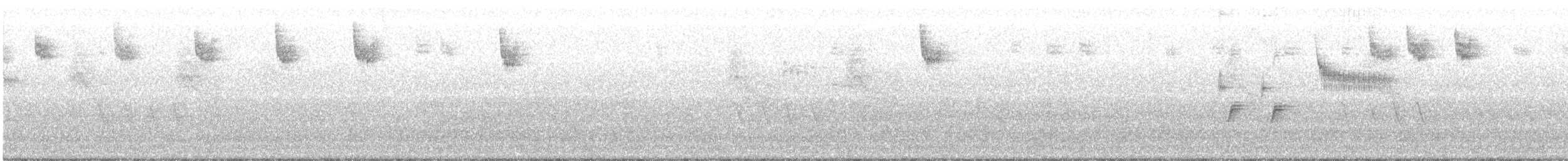 Тауї плямистий - ML343464681