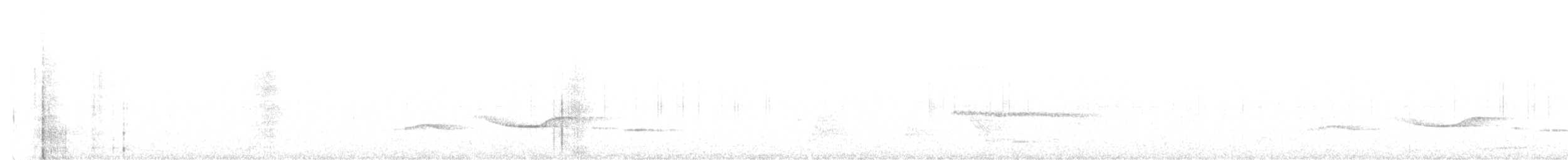 サンロクツグミマイコドリ - ML343495481