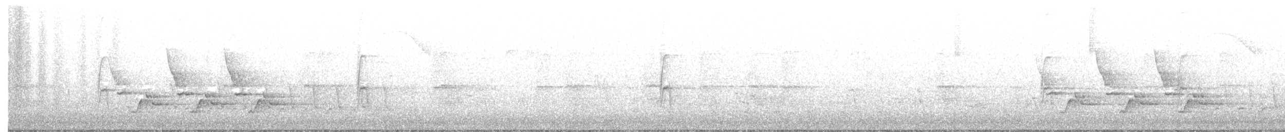 Каролинский крапивник - ML343529301
