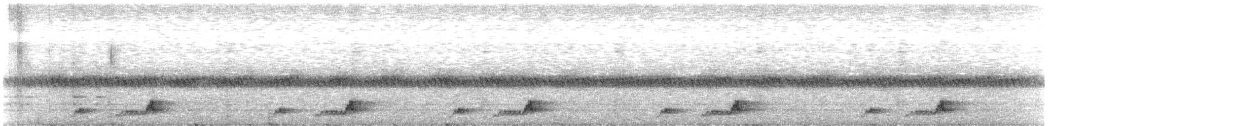 Mexikonachtschwalbe - ML343560611