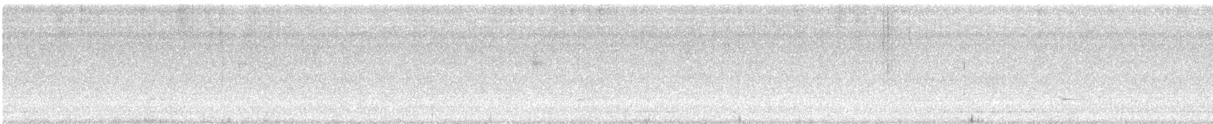Paruline à calotte noire - ML343562561