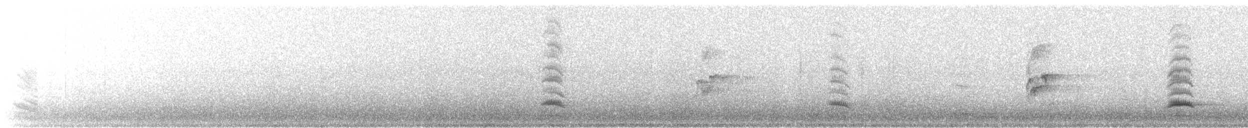 Avustralya Saksağanı [tibicen grubu] - ML343592681