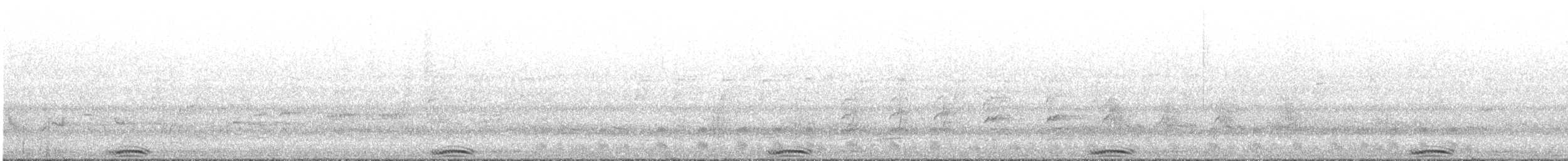 Little Bittern - ML343599921
