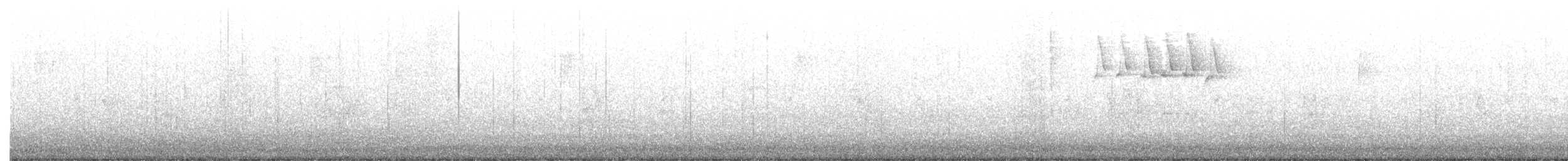 סבכון עקוד - ML343620401