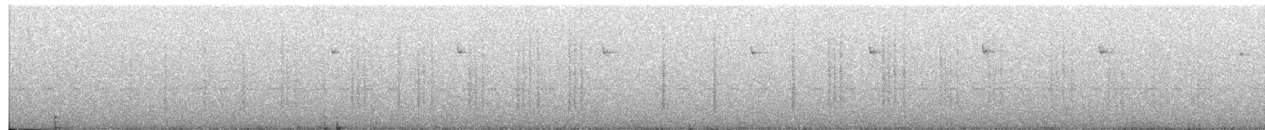 Geniş Gagalı Kolibri - ML34364141