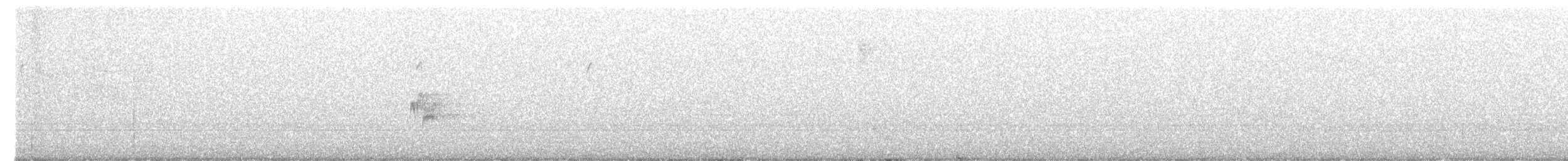 Sarı Karınlı Boreal Sinekkapan - ML343663451