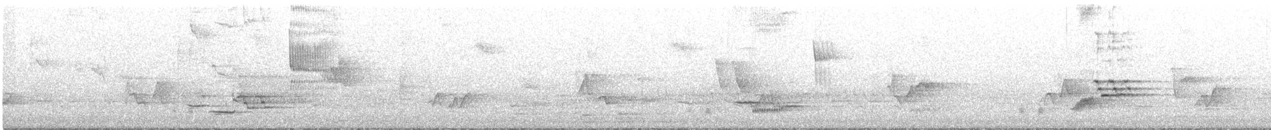 Wood Thrush - ML343678341