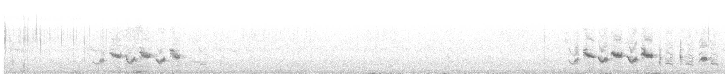 Western Orphean Warbler - ML343688111