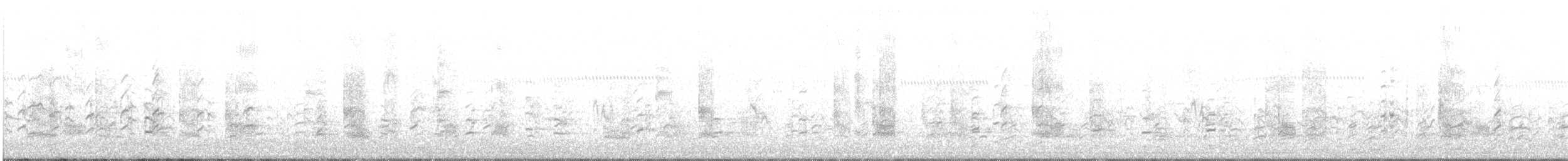 Weißbart-Seeschwalbe - ML343698851