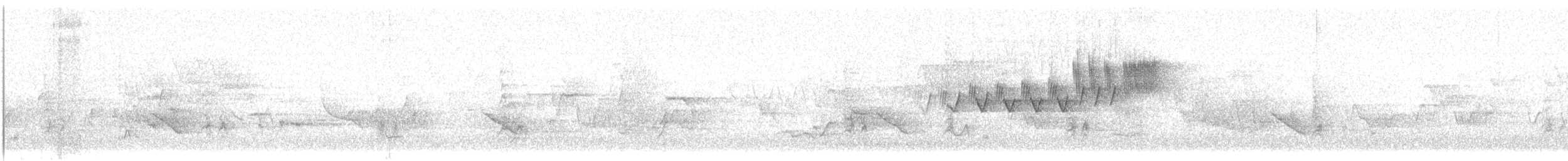 Cerulean Warbler - ML343724841