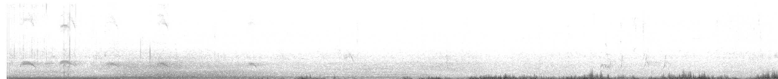 Brown-crested Flycatcher - ML343728481