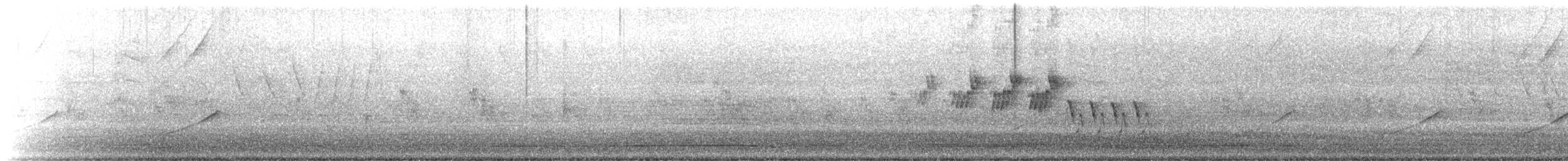 Черногорлая хвойница - ML343765331