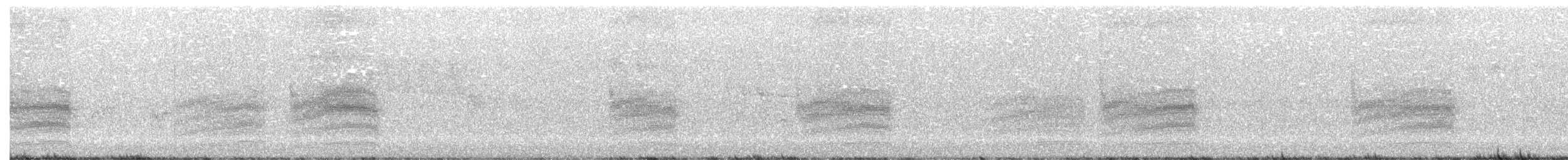 Spotted Towhee (oregonus Group) - ML343791341