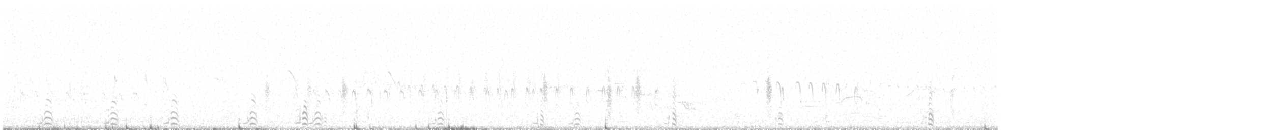hvithalesvømmesnipe - ML343856291
